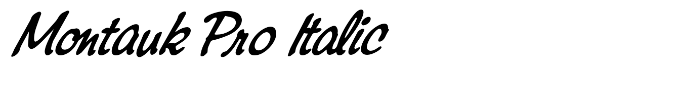 Montauk Pro Italic
